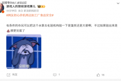 <b>了内部办理</b>